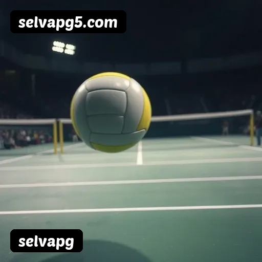 Requisitos do APK selvapg para Android — compatibilidade e uso no celular